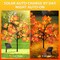 4 Packs Solar Maple Leaf Pumpkin Lights Outdoor Decor - 80LED